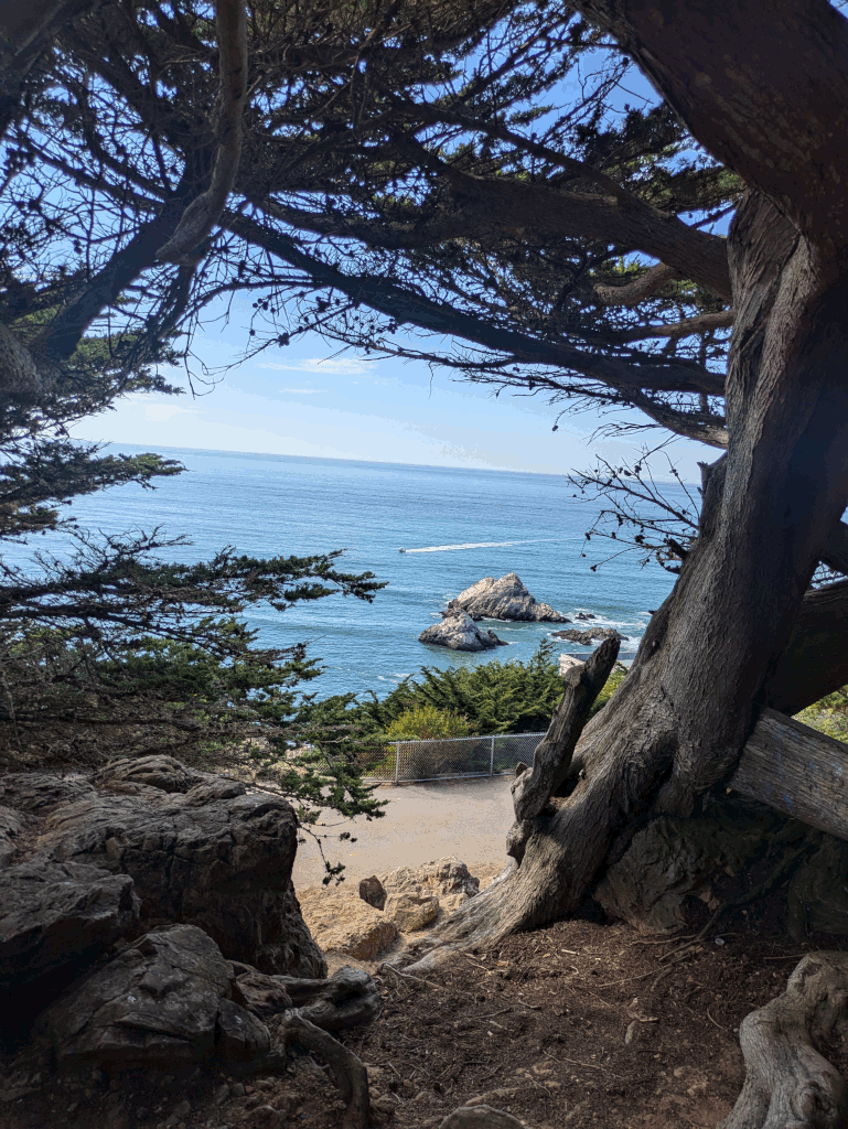 view onto the ocean from sutro heights